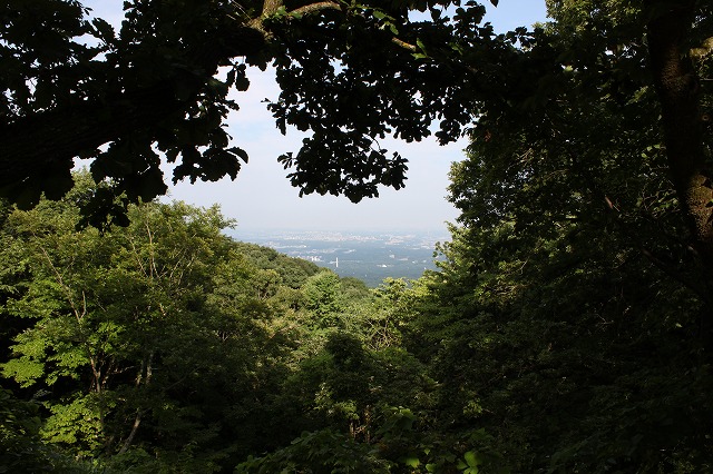 登山者数世界一、「高尾山」の自然研究路6号路を歩いてきた。_0430.jpg