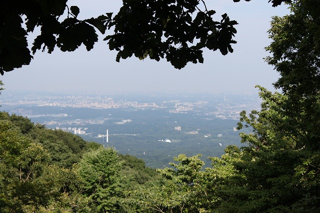 登山者数世界一、「高尾山」の自然研究路6号路を歩いてきた。_0437.jpg