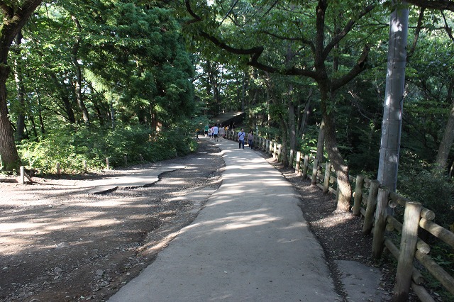 登山者数世界一、「高尾山」の自然研究路6号路を歩いてきた。_0484.jpg