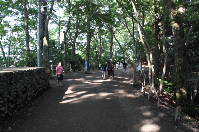 登山者数世界一、「高尾山」の自然研究路6号路を歩いてきた。_0486.jpg