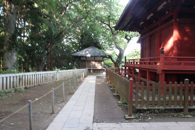 登山者数世界一、「高尾山」の自然研究路6号路を歩いてきた。_0493.jpg