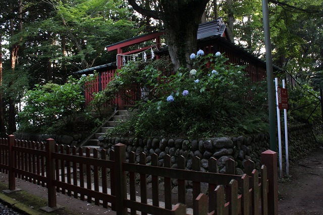 登山者数世界一、「高尾山」の自然研究路6号路を歩いてきた。_0496.jpg