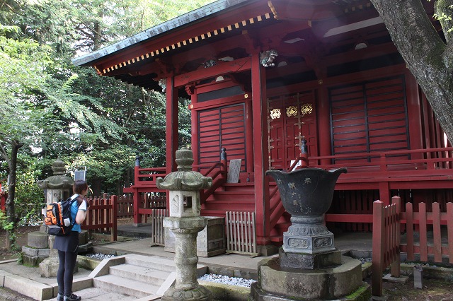 登山者数世界一、「高尾山」の自然研究路6号路を歩いてきた。_0498.jpg