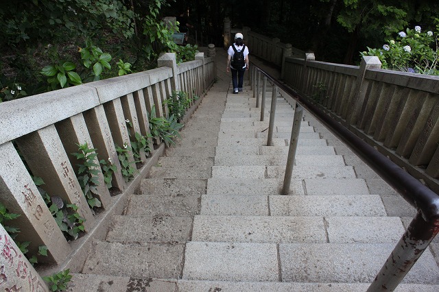 登山者数世界一、「高尾山」の自然研究路6号路を歩いてきた。_0504.jpg