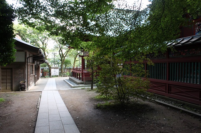 登山者数世界一、「高尾山」の自然研究路6号路を歩いてきた。_0511.jpg