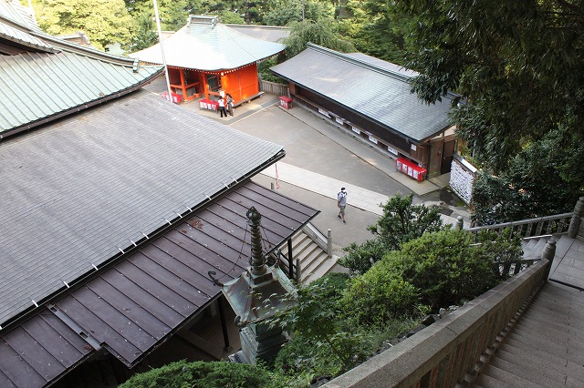 登山者数世界一、「高尾山」の自然研究路6号路を歩いてきた。_0528.jpg