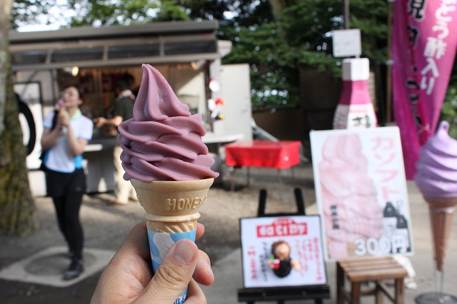 登山者数世界一、「高尾山」の自然研究路6号路を歩いてきた。_0546.jpg