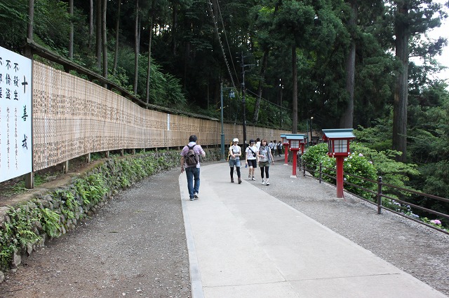 登山者数世界一、「高尾山」の自然研究路6号路を歩いてきた。_0556.jpg