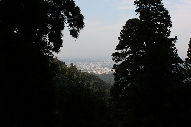 登山者数世界一、「高尾山」の自然研究路6号路を歩いてきた。_0558.jpg