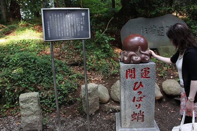 登山者数世界一、「高尾山」の自然研究路6号路を歩いてきた。_0575.jpg