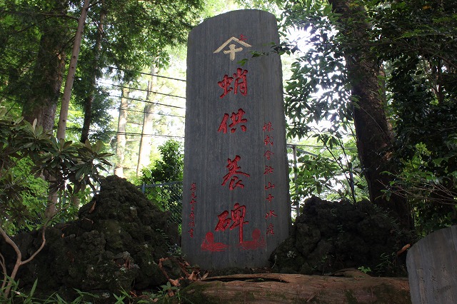 登山者数世界一、「高尾山」の自然研究路6号路を歩いてきた。_0579.jpg