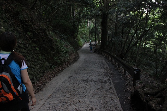 登山者数世界一、「高尾山」の自然研究路6号路を歩いてきた。_0613.jpg