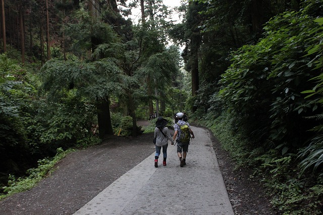 登山者数世界一、「高尾山」の自然研究路6号路を歩いてきた。_0617.jpg