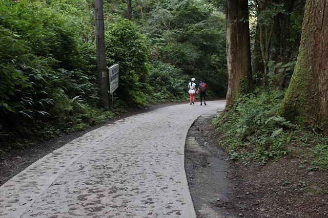 登山者数世界一、「高尾山」の自然研究路6号路を歩いてきた。_0618.jpg