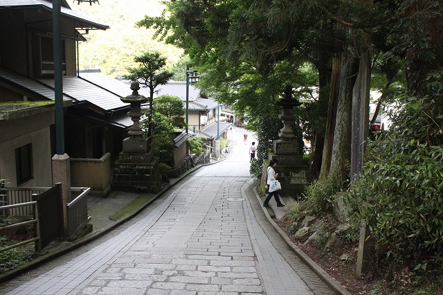 登山者数世界一、「高尾山」の自然研究路6号路を歩いてきた。_0620.jpg